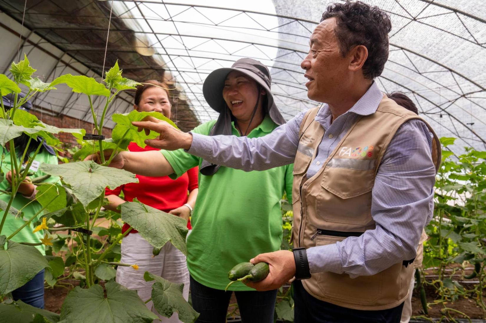 FAO Director-General, QU Dongyu visits a greenhouse at  "Enkh shim" a small and medium vegetable farm on the outskirt of Ulaanbaatar, Mongolia.