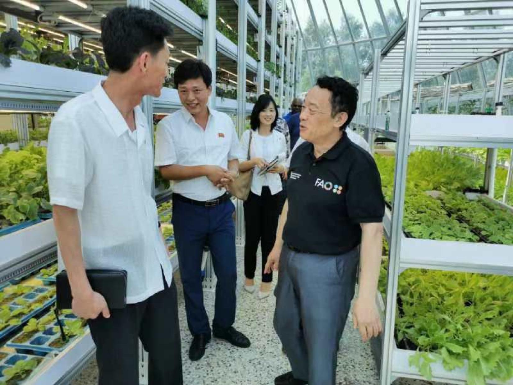 FAO Director-General QU Dongyu (right)  visited the Kangdong Greenhouse Complex.