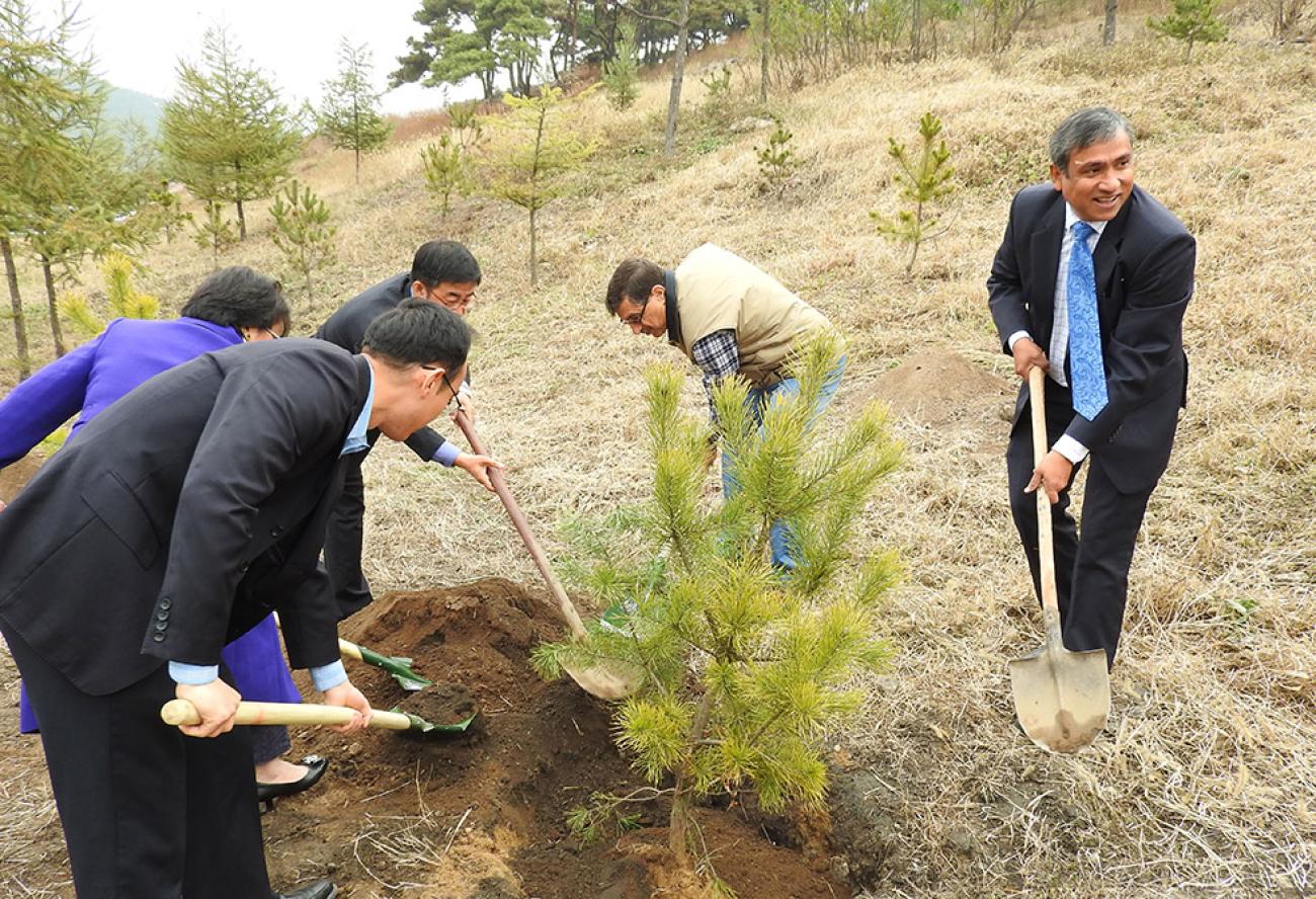DPR Korea and UN Resident Agencies Celebrate 70th Anniversary of the United Nations