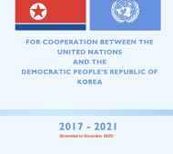 The UN Strategic Framework 2017 – 2021 (Extended to December 2026)