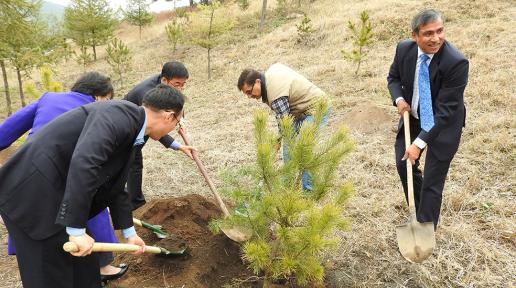 DPR Korea and UN Resident Agencies Celebrate 70th Anniversary of the United Nations