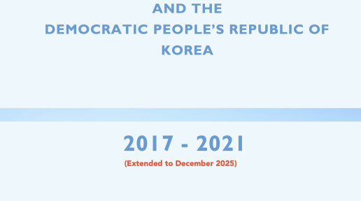 The UN Strategic Framework 2017 – 2021 (Extended to December 2026)